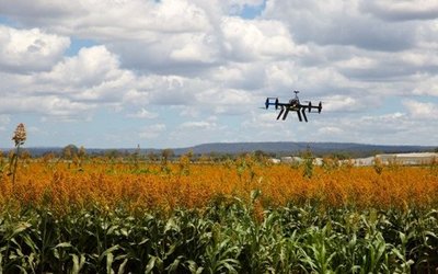 Drohne schwebt über einer landwirtschaftlichen Anbaufläche