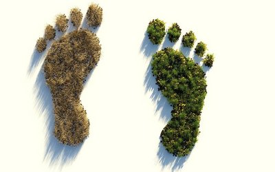 Bild zweier Fußabdrücke. einer besteht aus grünem blühendem Gras, der andere aus vertrockneten gebleichten Gras.