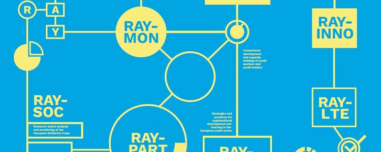 Grafische Darstellung des RAY-Forschungsnetzwerkes