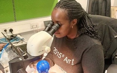 Priscilla Wangari Muriithi blickt durch ein Mikroskop.